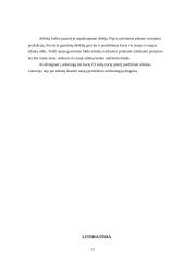 Statybinės atliekos 12 puslapis