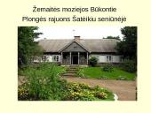 Žemaitė (Julija Beniuševičiūtė-Žymantienė) 19 puslapis