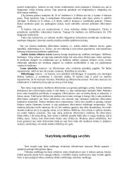 Statybinių medžiagų savarankiškas darbas 6 puslapis