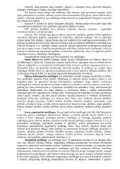 Statybinių medžiagų savarankiškas darbas 7 puslapis