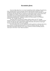 Statybinių medžiagų savarankiškas darbas 10 puslapis