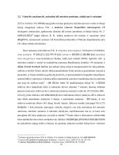 Viešosios valdžios institucijų pareiga atlyginti žalą 13 puslapis