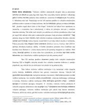 Viešosios valdžios institucijų pareiga atlyginti žalą 2 puslapis