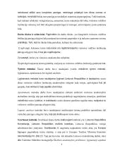 Viešosios valdžios institucijų pareiga atlyginti žalą 3 puslapis