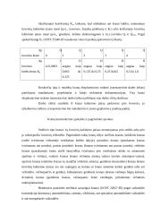 Statybiniai kranai 4 puslapis