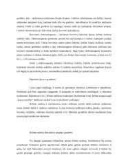 Statybiniai kranai 9 puslapis