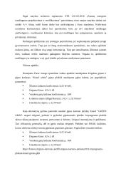 Medinės perdangos šiltinimo detalė esant šaltai pastogei 4 puslapis