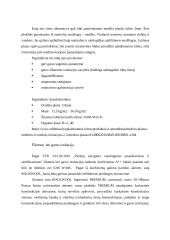 Medinės perdangos šiltinimo detalė esant šaltai pastogei 5 puslapis