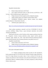 Medinės perdangos šiltinimo detalė esant šaltai pastogei 6 puslapis