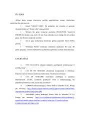 Medinės perdangos šiltinimo detalė esant šaltai pastogei 9 puslapis