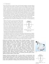 Optinio aktyvumo tyrimas 5 puslapis