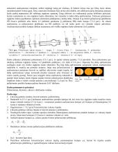 Optinio aktyvumo tyrimas 6 puslapis