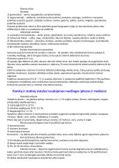 Pastatus ir statinius veikiantys poveikiai ir apkrovos 2 puslapis