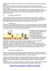 Pastatus ir statinius veikiantys poveikiai ir apkrovos 9 puslapis
