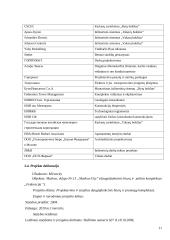 Statybos įmonės valdymas:  "Mirax group" 11 puslapis