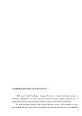 Statybos įmonės valdymas:  "Mirax group" 3 puslapis