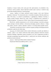 Statybos įmonės valdymas:  "Mirax group" 7 puslapis