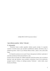 Statybos įmonės valdymas:  "Mirax group" 9 puslapis