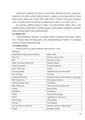 Statybos įmonės valdymas:  "Mirax group" 10 puslapis