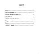 Statinių analizė Lietuvoje 2 puslapis