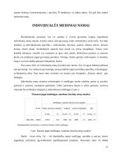 Statinių analizė Lietuvoje 12 puslapis