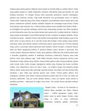 Statinių analizė Lietuvoje 13 puslapis