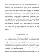 Statinių analizė Lietuvoje 14 puslapis