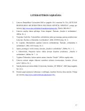 Statinių analizė Lietuvoje 17 puslapis