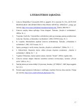 Statinių analizė Lietuvoje 17 puslapis