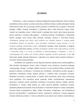 Statinių analizė Lietuvoje 3 puslapis
