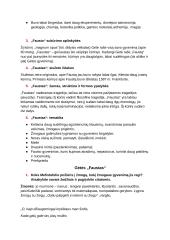 Johanas Volfgangas Gėtė. Kontekstas, biografija, kūryba 2 puslapis