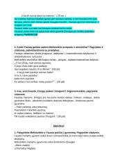 Johanas Volfgangas Gėtė. Kontekstas, biografija, kūryba 10 puslapis