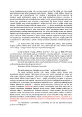 Bitės Vilimaitės novelės „Namai" analizė 2 puslapis