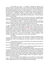 Bitės Vilimaitės novelės „Namai" analizė 3 puslapis