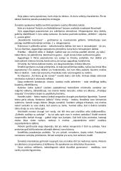 Bitės Vilimaitės novelės „Namai" analizė 5 puslapis