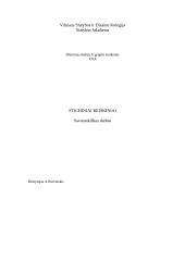 Stichiniai reiškiniai
