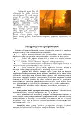 Stichiniai reiškiniai 11 puslapis