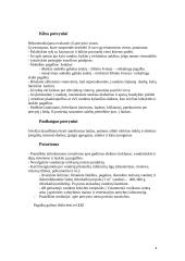 Stichiniai reiškiniai 4 puslapis