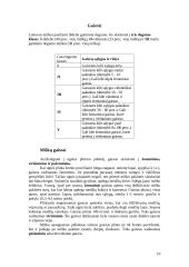 Stichiniai reiškiniai 10 puslapis