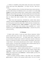 Stiliaus kultūra 12 puslapis