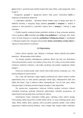 Stiliaus kultūra 13 puslapis