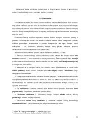 Stiliaus kultūra 15 puslapis