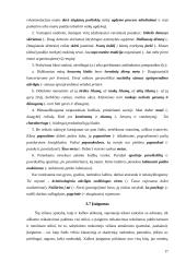 Stiliaus kultūra 17 puslapis