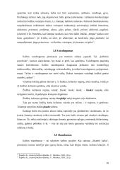 Stiliaus kultūra 18 puslapis