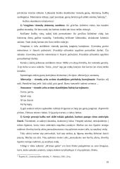 Stiliaus kultūra 19 puslapis