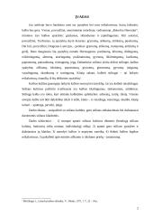 Stiliaus kultūra 2 puslapis