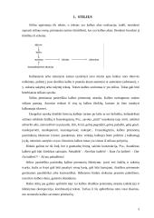 Stiliaus kultūra 3 puslapis