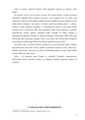 Stiliaus kultūra 4 puslapis