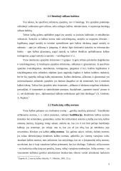 Stiliaus kultūra 5 puslapis