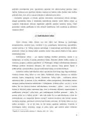 Stiliaus kultūra 8 puslapis